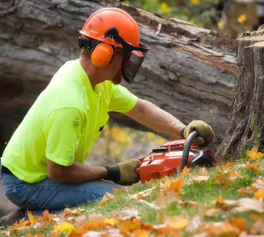 tree services Oyster Bay Cove